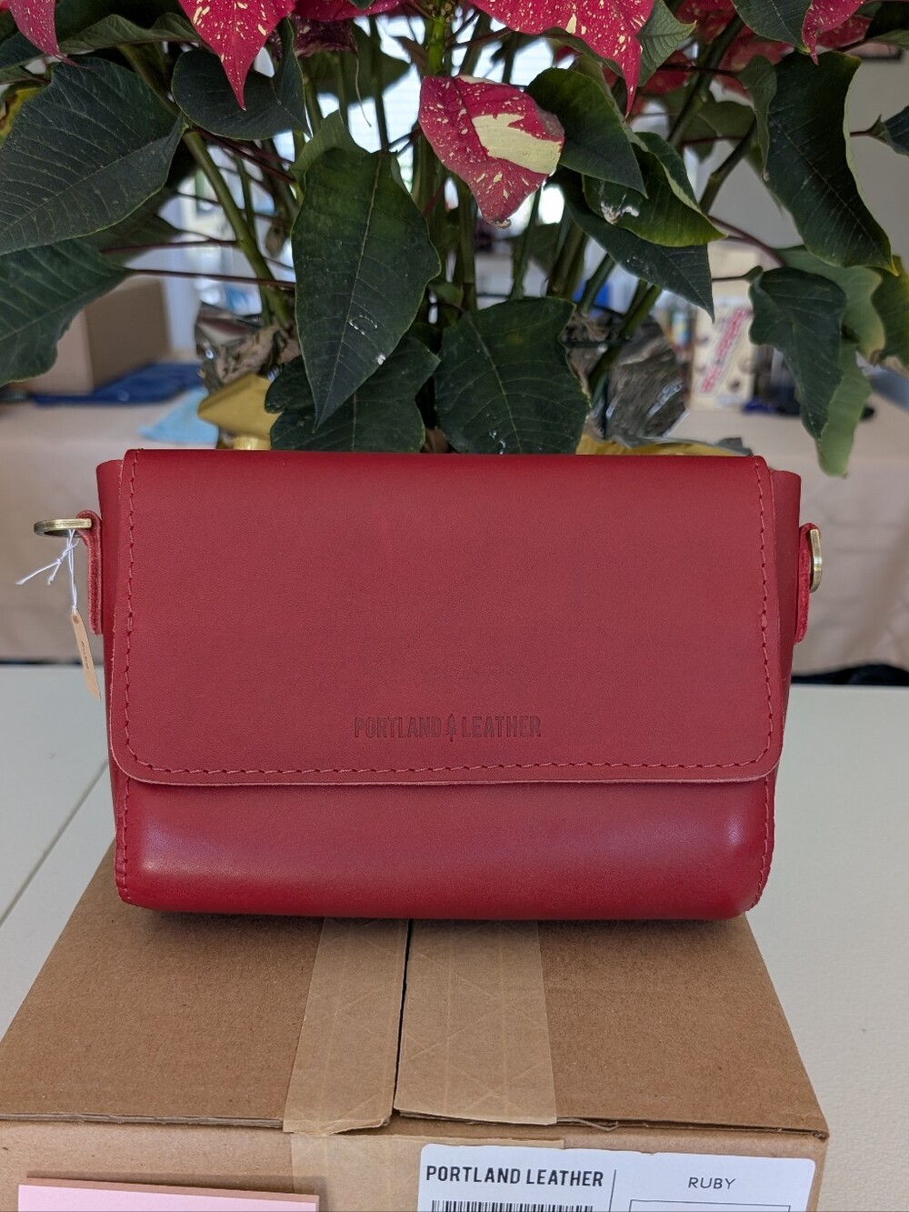 Ruby Metro Mini Crossbody Bag